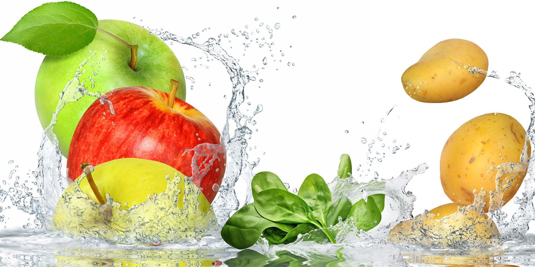 food and beverage industry fruit and vegetable washing